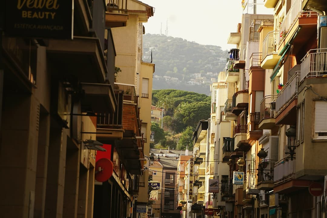 View of Bivona, Sicily, Italy – €1 House Program