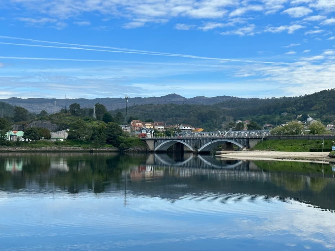 View of Ponga