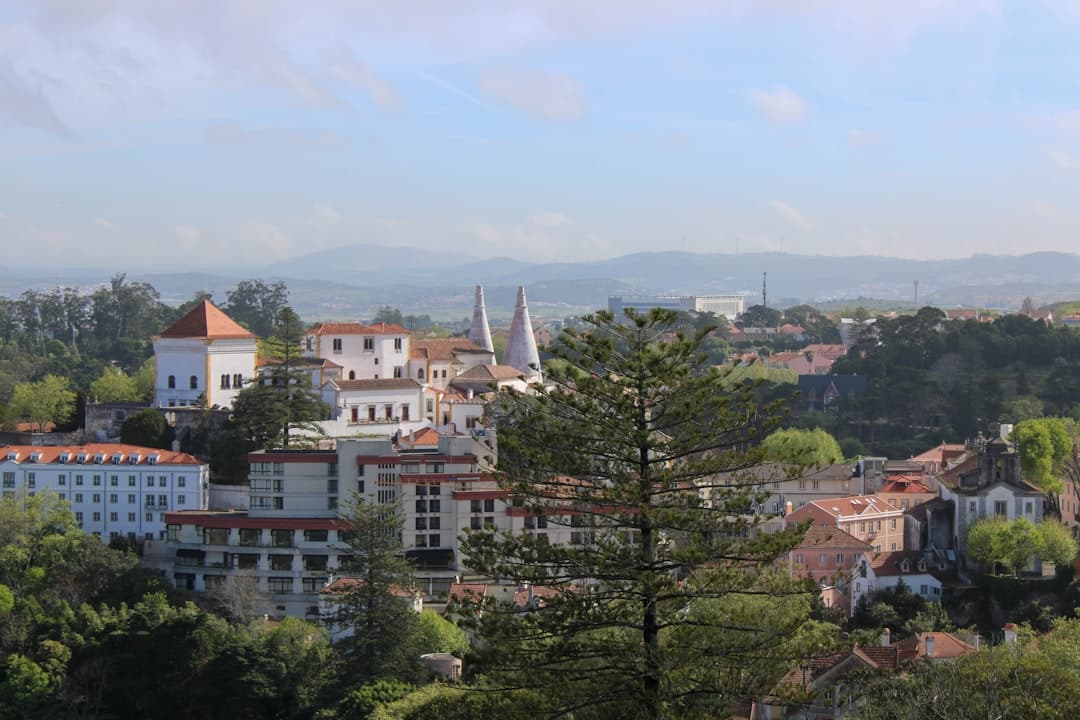View of Ponga