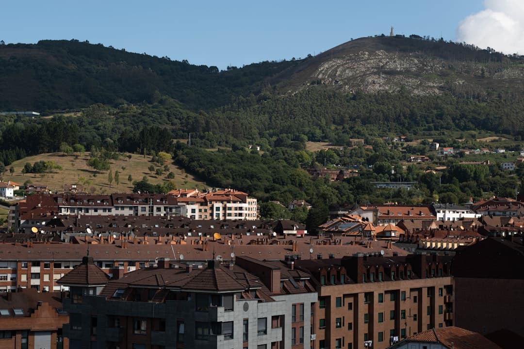 View of Ponga