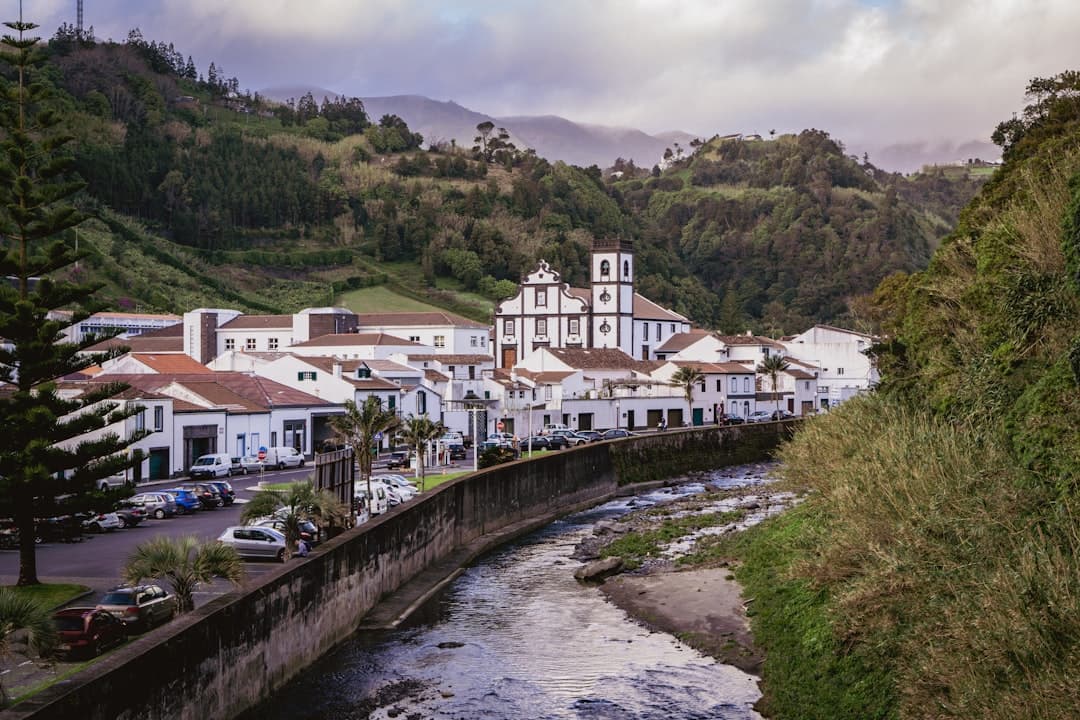 View of Ponga