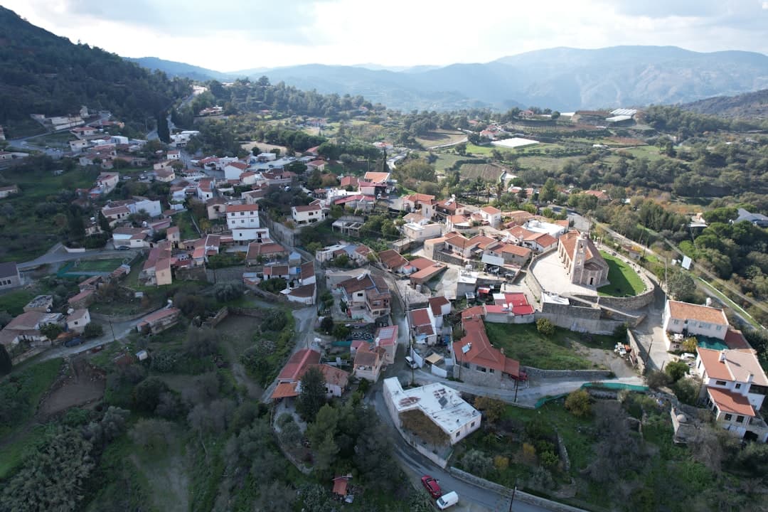 View of Ponga