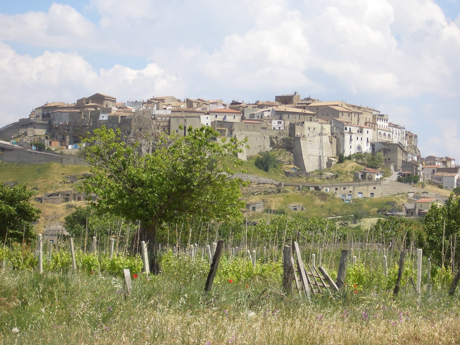 Acerenza view