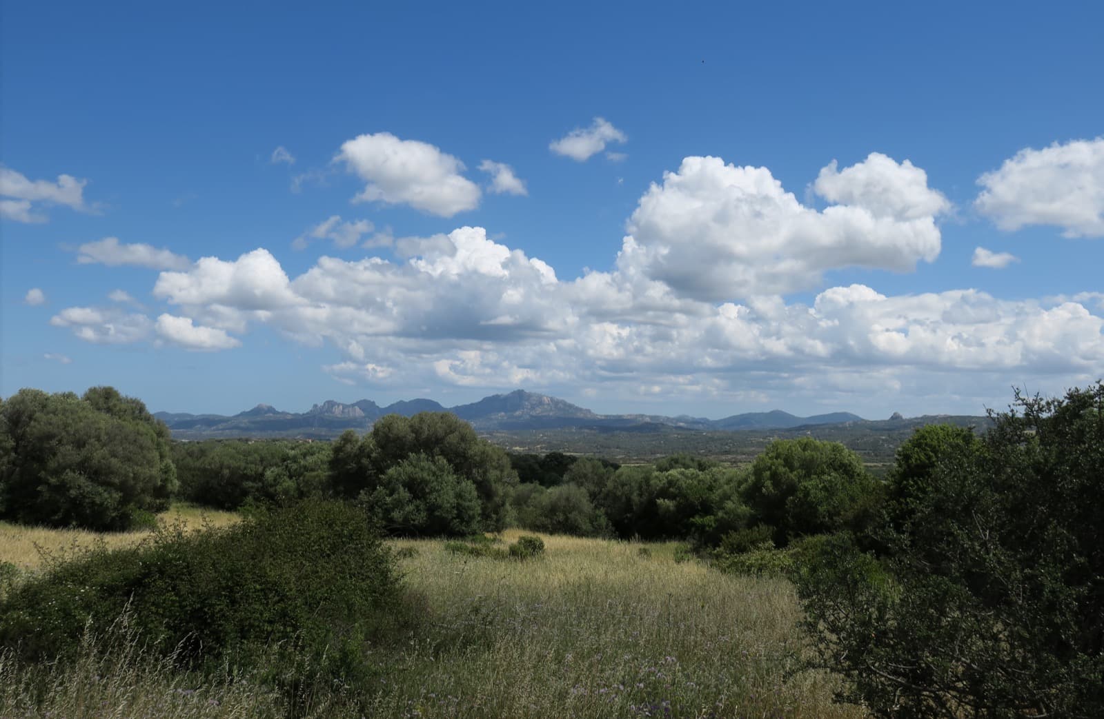 Sardinia view