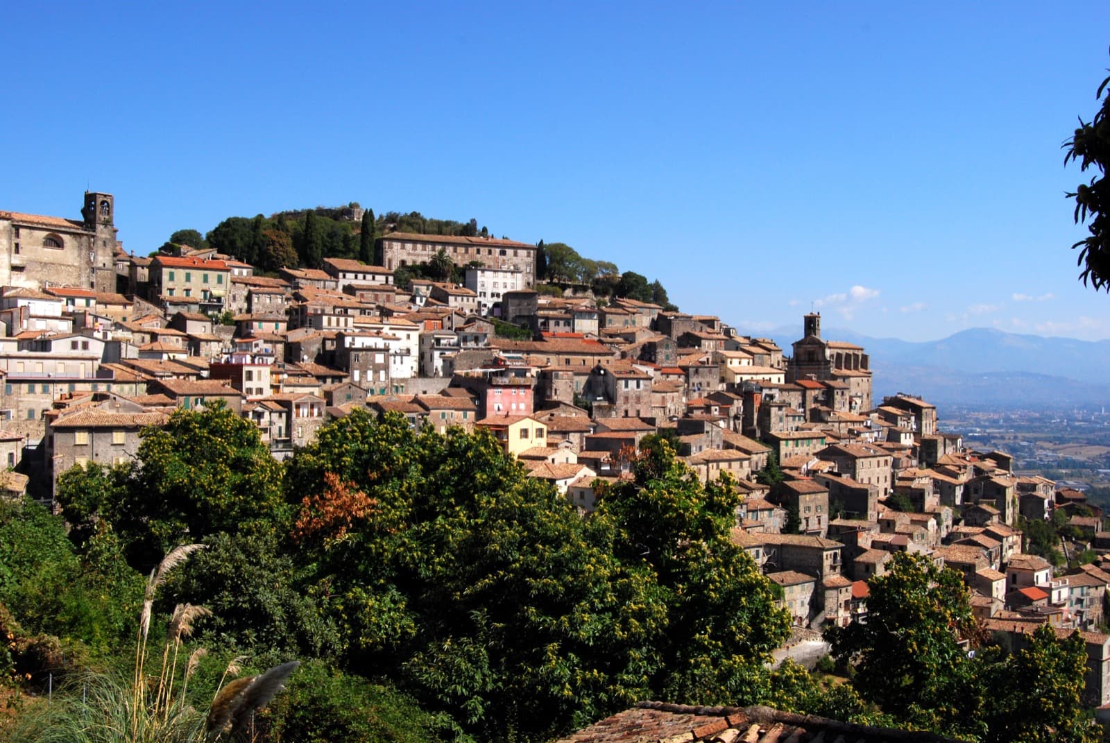 Patrica view