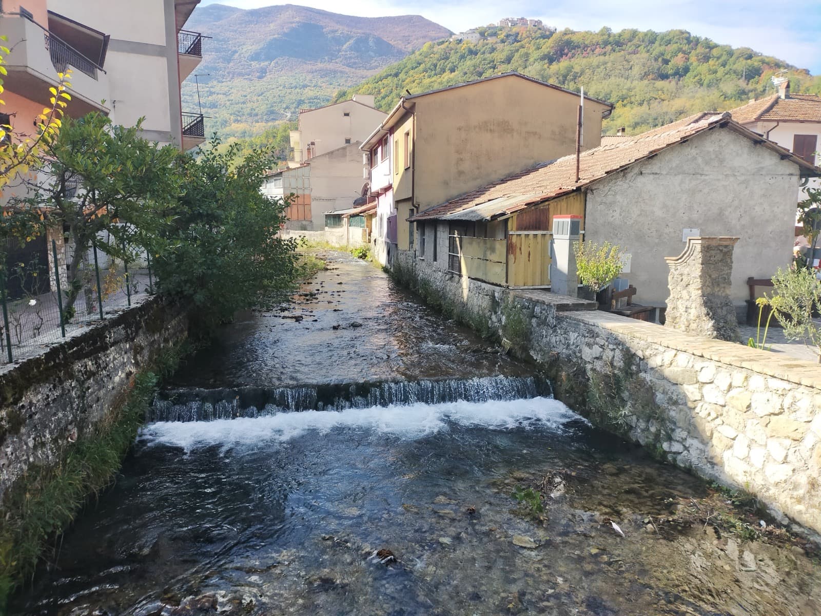 Canistro view