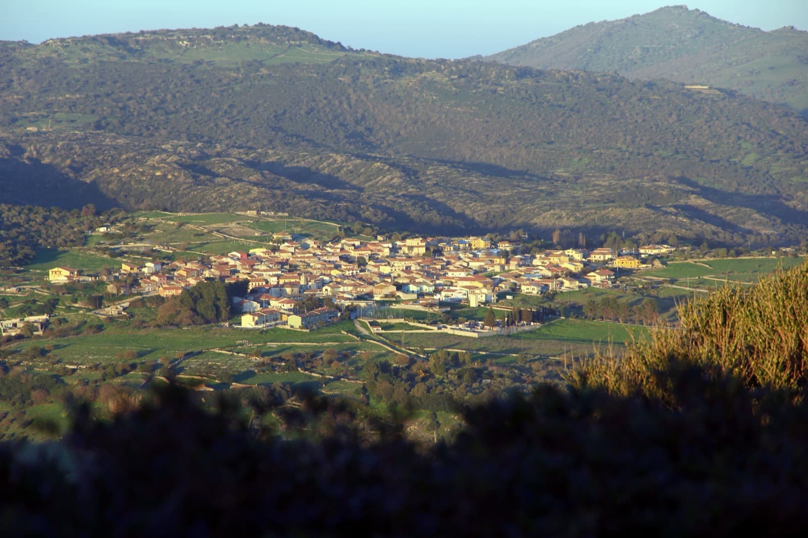 Romana view