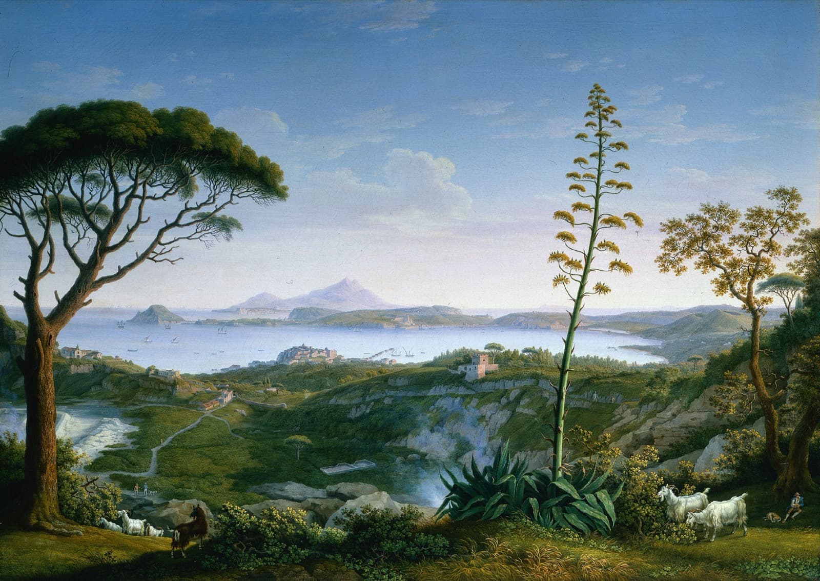 Campania view